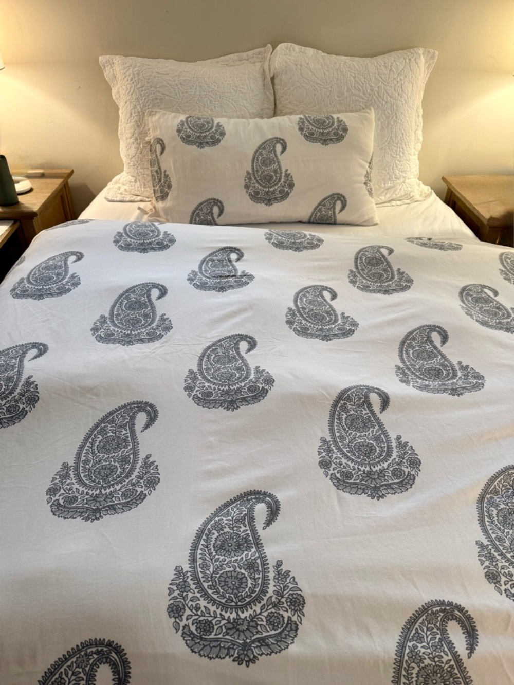 Pottery Barn Rayna full/queen duvet
2 king shams